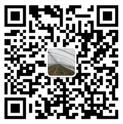 成都拓青農(nóng)業(yè)有限公司官網(wǎng)-中藥材種植全程無(wú)憂(yōu)-四川中藥材種子種苗種植基地